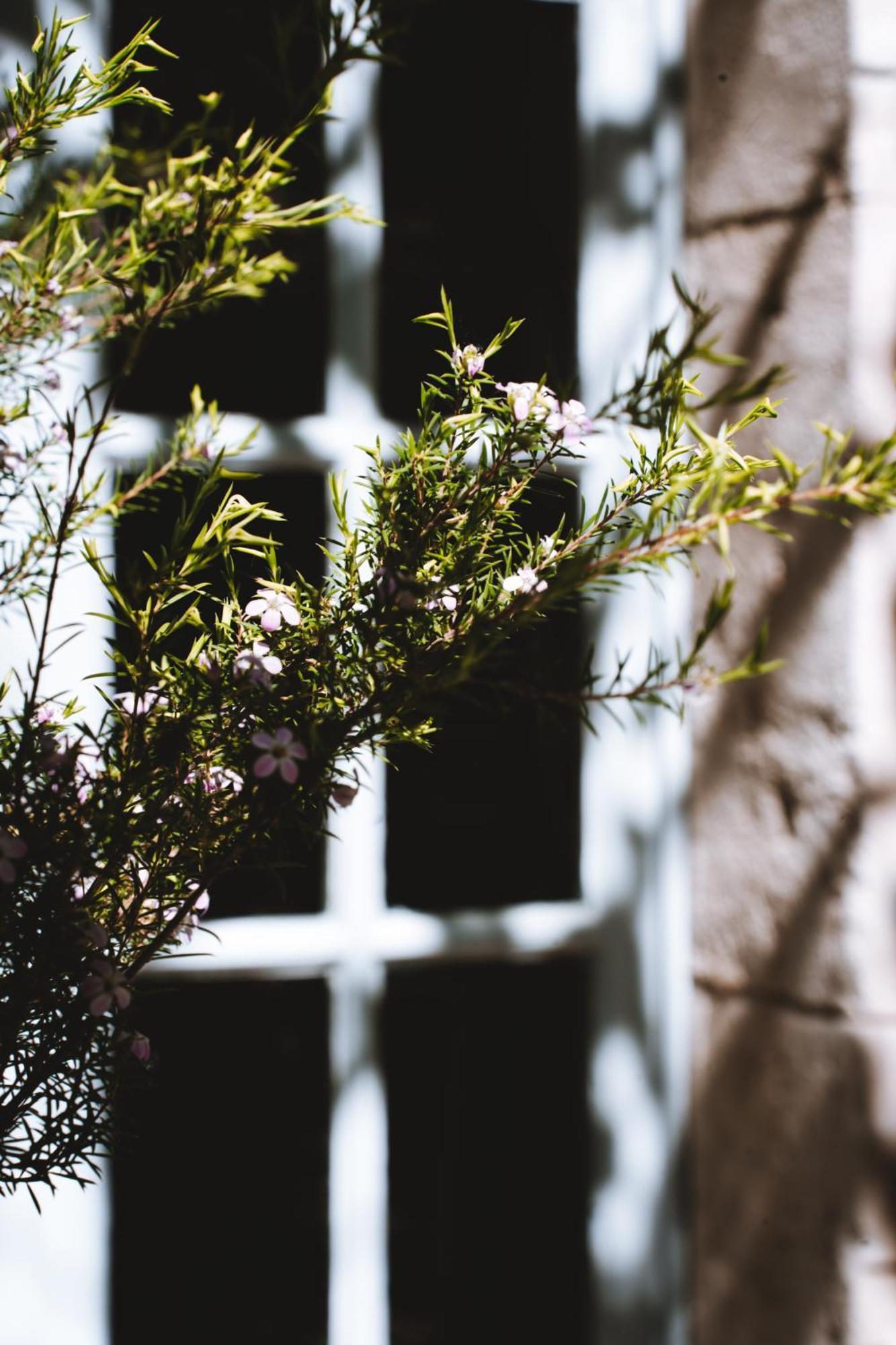 Bastide Rose Hotel Le Thor Exterior photo